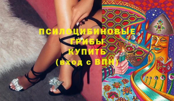 гидропоника Краснослободск