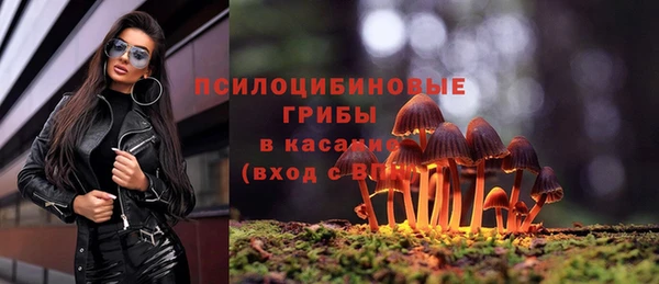 ECSTASY Красноперекопск
